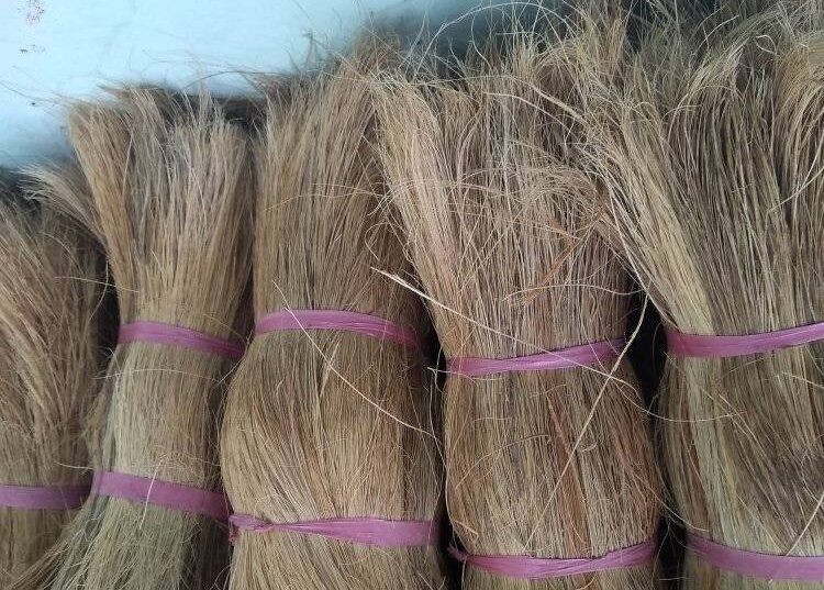 464031056_470406526016972_8979895835226056437_n