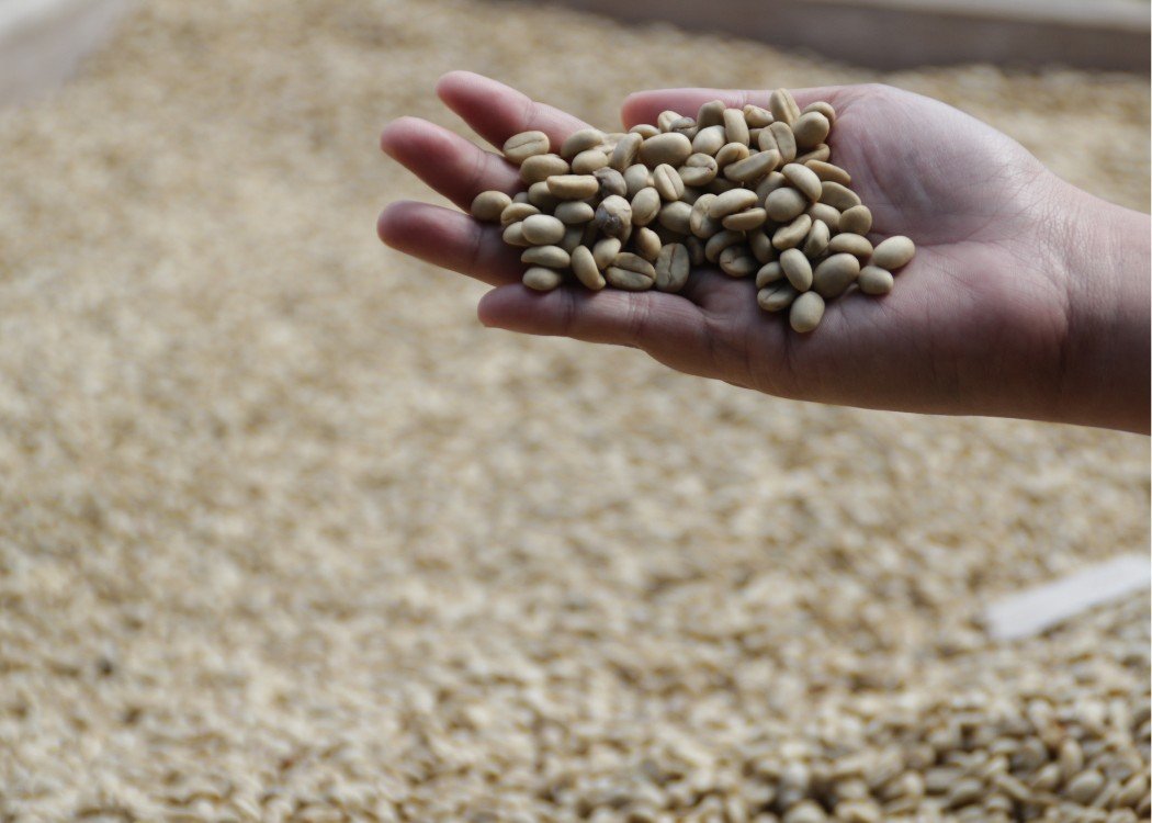 PT ERDO SEJAHTERA ABADI - COFFEE 12