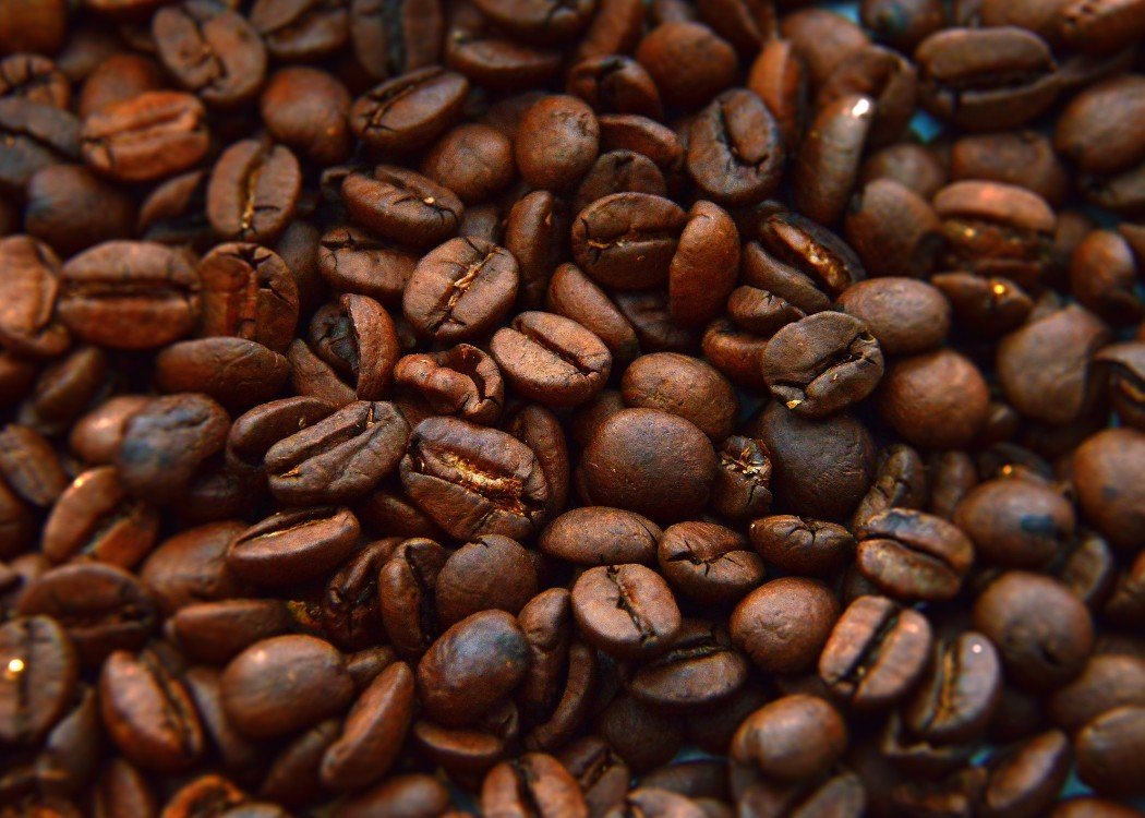 PT ERDO SEJAHTERA ABADI - COFFEE 5