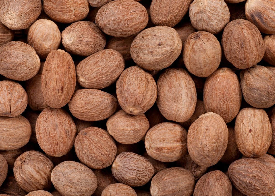 PT ERDO SEJAHTERA ABADI - NUTMEG 2